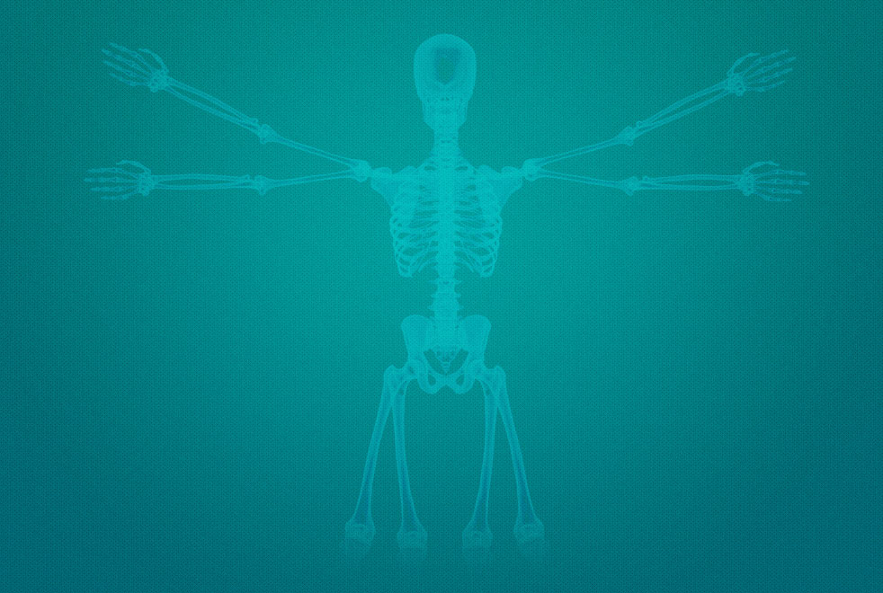 X-ray Tech Skeleton - Id Badge Holder - Id Badge Algeria